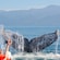 Passengers on a tour boat snap pictures of a whale fluke peeking out of the water